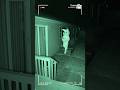 KILLER BUNNY CAUGHT ON SECURITY CAMERA ‼️⚠️
