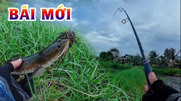 Trúng bãi câu mới cá ăn thấy mê | THÚ VUI MIỀN TÂY