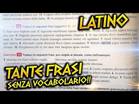 Facciamo le frasi di Latino SENZA VOCABOLARIO !!! 📚📖 Versione di Latino Insieme 📚📖