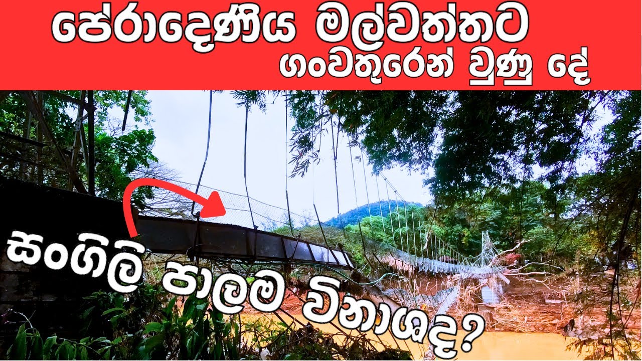 පේරාදෙණිය මල්වත්ත ගංවතුරට යටවෙලාද? වැහුවද? ඇත්ත තත්ත්වය මෙන්න Peradeniya Botanical Garden AfterFlood