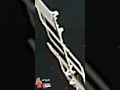 الحقيقة الكامله مع رائده الفضاء الايطالية والمركبة الفضائية
