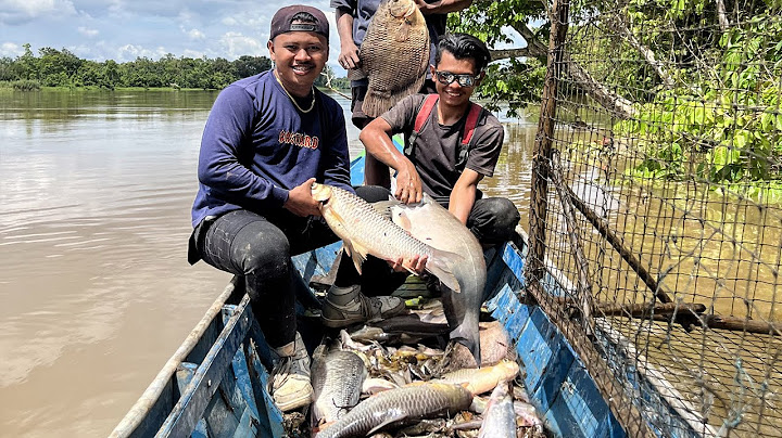 10 HARI BERBURU IKAN & TANAMAN LIAR DI ALAM KALIMANTAN HASILNYA MELIMPAH😅 #bocahpecicilan #KOOKIKO