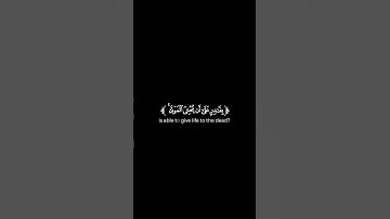 كروما شاشة سوداء قرآن كريم 🌿تلاوة من سورة الأحقاف 🌿القارئ احمد نور الدين
