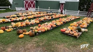 Very Eventful Trip to Tims Pumpkin Patch & Meeting the NY FARM GIRLS!