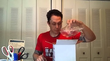 Unboxing from David Fine Geckos!