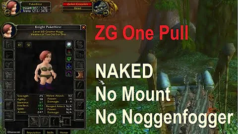 WoW Classic - ZG Solo Mage One Pull - Naked, No Mount, No Noggenfogger All 11 Packs