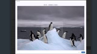 Cropping images with Filestack HD