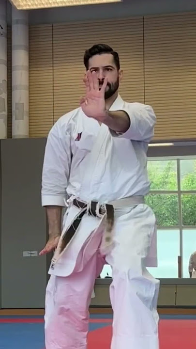 Another day at work ! #karate #cobrakai #kata #olympian #training #martialarts #asmr