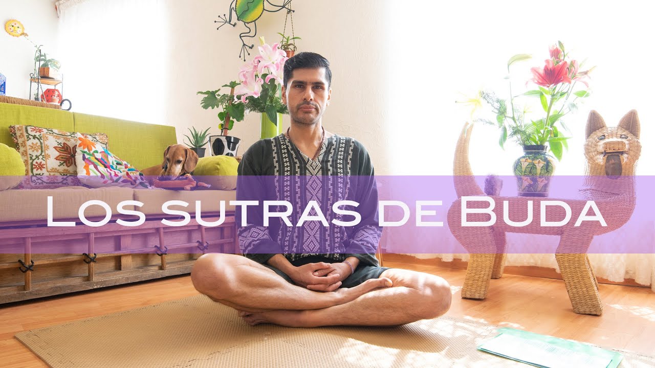 Los sutras de Buda (Sexta parte) - YouTube