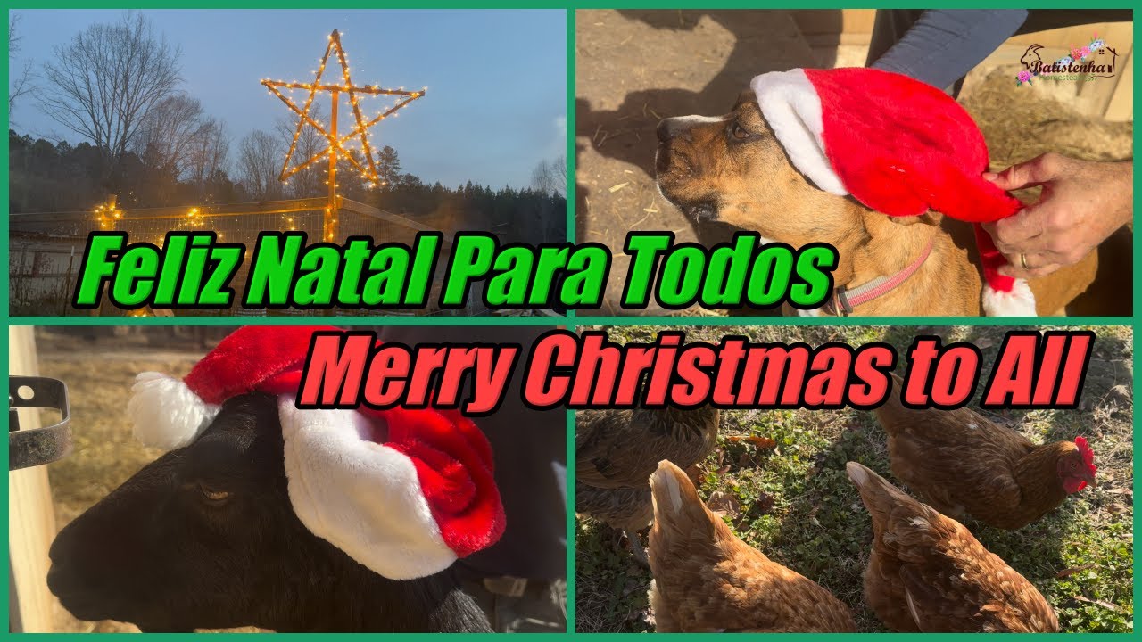 Feliz Natal Para Todos / Merry Christmas to All