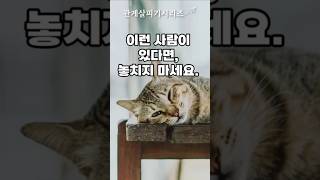 이런 사람이 있다면, 놓치지 마세요 (5가지) #긍정적마인드 #힐링 #관계조언