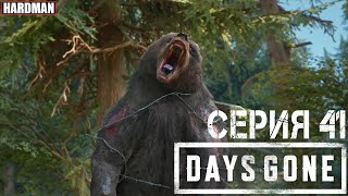 🎬 DAYS GONE PC 1070ti / Серия 41 - ОНИ ТЕБЯ КОРМЯТ 🧟‍♂🧟‍♀