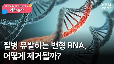 [과학본색②] 질병 유발하는 변형 RNA, 어떻게 제거될까? / YTN 사이언스