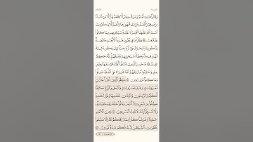 صفحة ( 146 ) #سورة_الأنعام مكتوبة مكررة بصوت #احمد_العجمي #الجزء_الثامن #قرآن_كريم #quranic #تلاوة