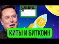 Биткоин - Игра китов и твиттер bitcoin Илона Маска! Прогноз,  Размышления и новости btc