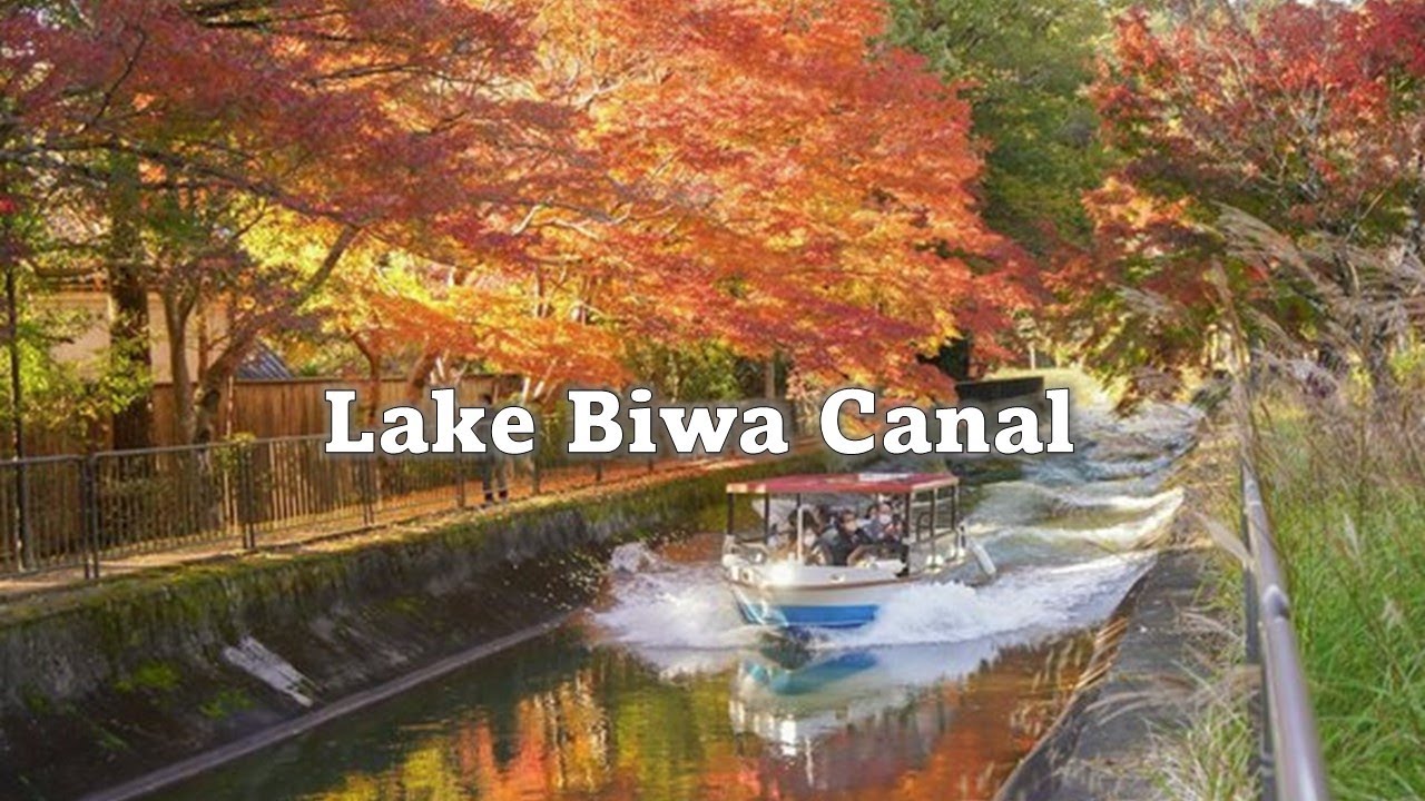 Lake Biwa Canal Cruise, Autumn Color of Leaves びわ湖疏水船（蹴上