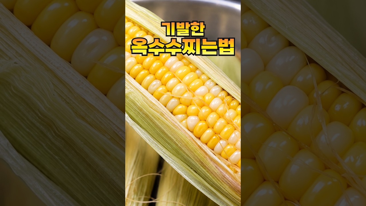 뉴슈가 안 넣어도 맛있습니다