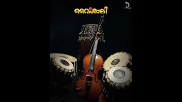 Indupushpam Choodi Nilkum | Vaishali | K S Chithra | Suparna Anand | Violin | Instrumental