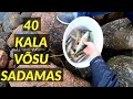 40 kala Võsu sadamas - Ep11