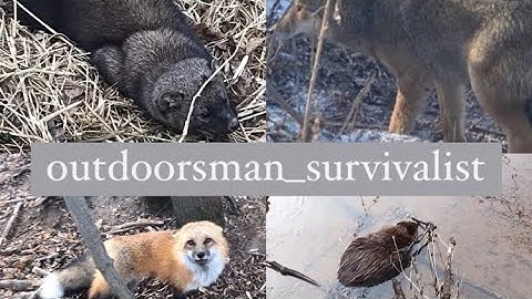 My new and improved intro!!