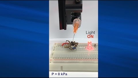 Lab manipulates deceased spiders’ legs with a puff of air to serve as grabbers