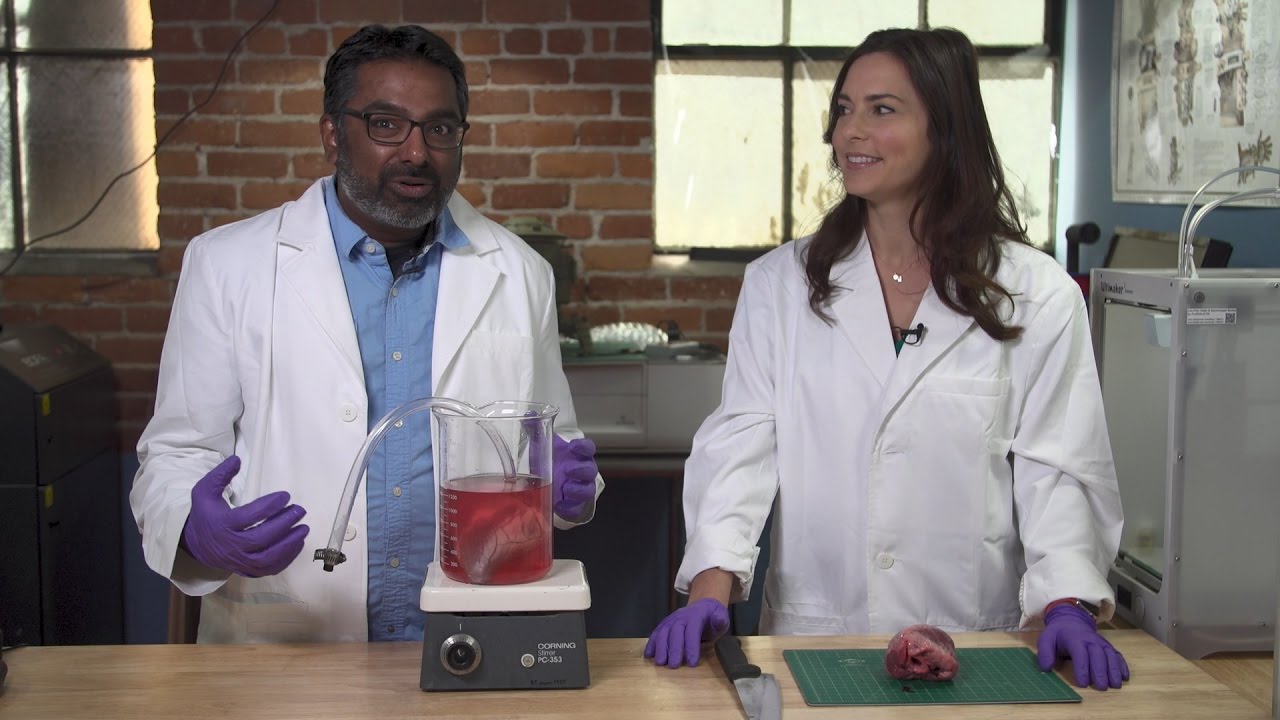 Announcing a New Show: Science in Progress! - YouTube