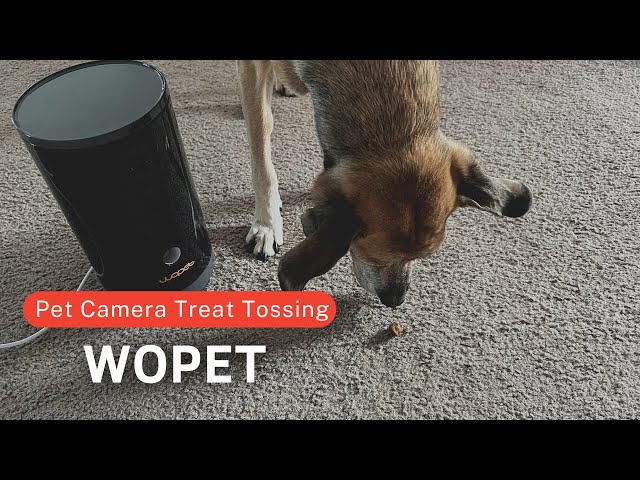 WOpet Dog Treat Camera and Dog Camera Treat Dispenser