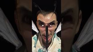 الناموس فالصطح 🦟😂