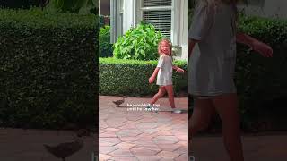 Abandoned Duckling Is Rescued By His New Family  The Dodo