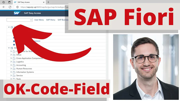 SAP Fiori - Display OK-Code-Field / Command Field in SAP Fiori