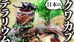 クワガタ自己満ラボ Youtube