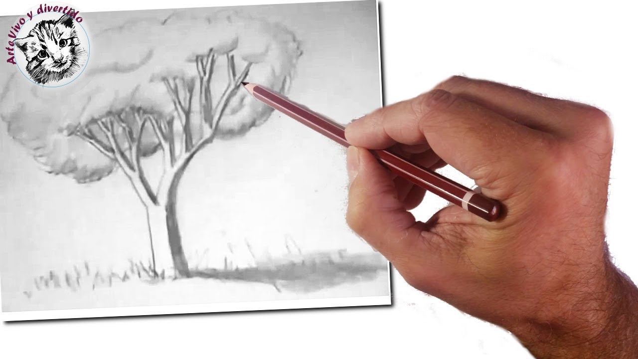 how to draw a realistic tree for children and beginners - thptnganamst.edu.vn