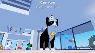 непослушная Киняконя/roblox kitten gamе.