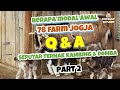 Blak-Blakan Tentang Ternak Kambing Dan Domba - Q & A bareng 78 Farm Part 2