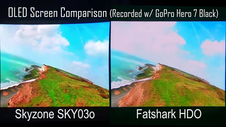 Skyzone SKY03O VS Fatshark HDO OLED Display Comparison