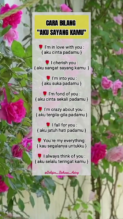 Cara bilang 'aku sayang kamu' dalam bahasa inggris #belajarbahasainggris#shorts#short #bahasainggris