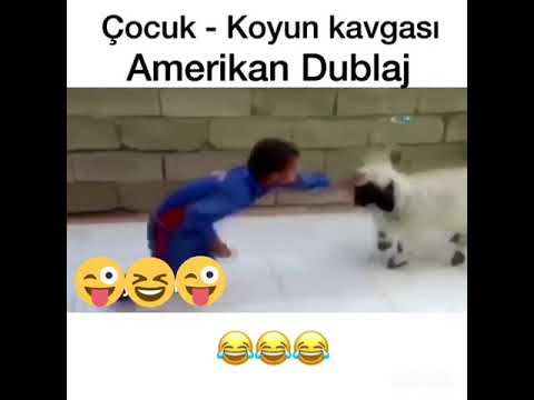 Amerikan dublaj Çocuk-Koyun Kavgası