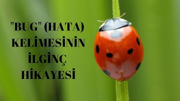 "Bug"(Hata) Kelimesinin İlginç Hikayesi - Teknolojik Terimlerin Hikayeleri