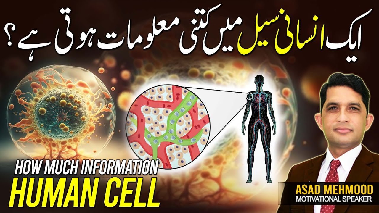 How Much DNA is in Your Body? A Simple Explanation of Human Biology ...