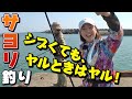 GO!GO!九ちゃんフィッシング #369　「房総半島サヨリ釣り！　前篇　激シブで大苦戦？」