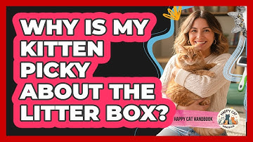 Why Is My Kitten Picky About The Litter Box? - Happy Cat Handbook