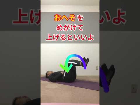 だれでも大幅に体重を減らせる方法は概要欄へ!【ぽっこり下腹解消】効果抜群の1分解説【これだけ】 #shorts  #ダイエット #脂肪燃焼 #痩せる運動 #エクササイズ #部分痩せ #お腹引き締め