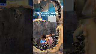 Mom Guilt Is Real But It Will Get Better