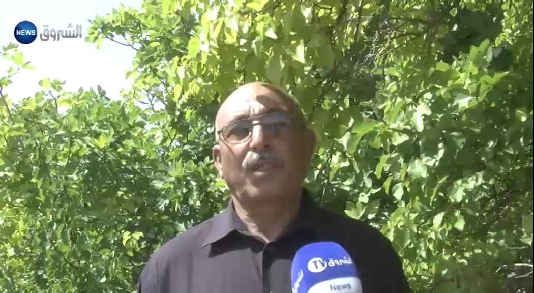 باتنة / جمعيات خيرية تلتفت لأبناء ضحايا السيليكوز بتكوت