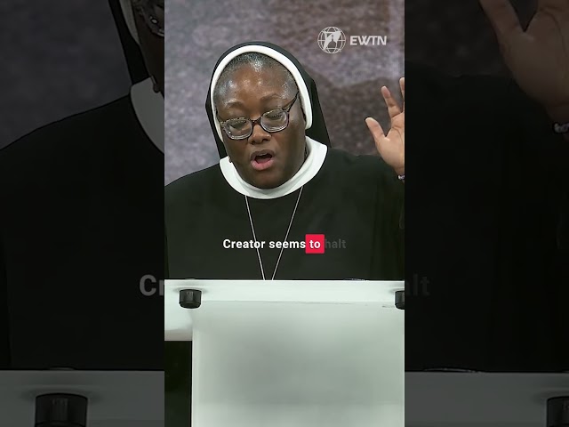 What was I made for? Sr. Josephine Garrett at #seek26