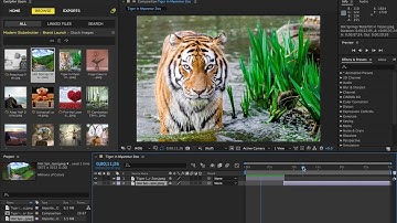 Manage your Linked Files with Evolphin Zoom and Adobe