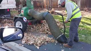 Up close shot of a Professional Leafchipping Vacuum  Operator working in a very satisfying manner