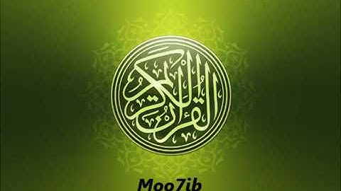سورة فاطر   عامر الكاظمي