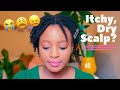 How to Soothe Itchy Dry Scalp Without Damaging Your Roots (Starter Locs on 4C Hair)