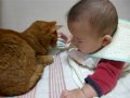 眠いのに。。